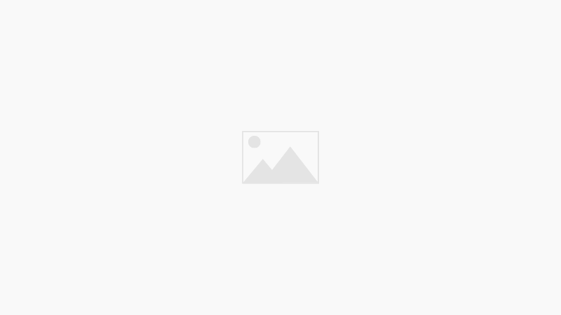 雙週刊2026 No.11（2026.7.16-31）